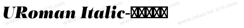 URoman Italic字体转换